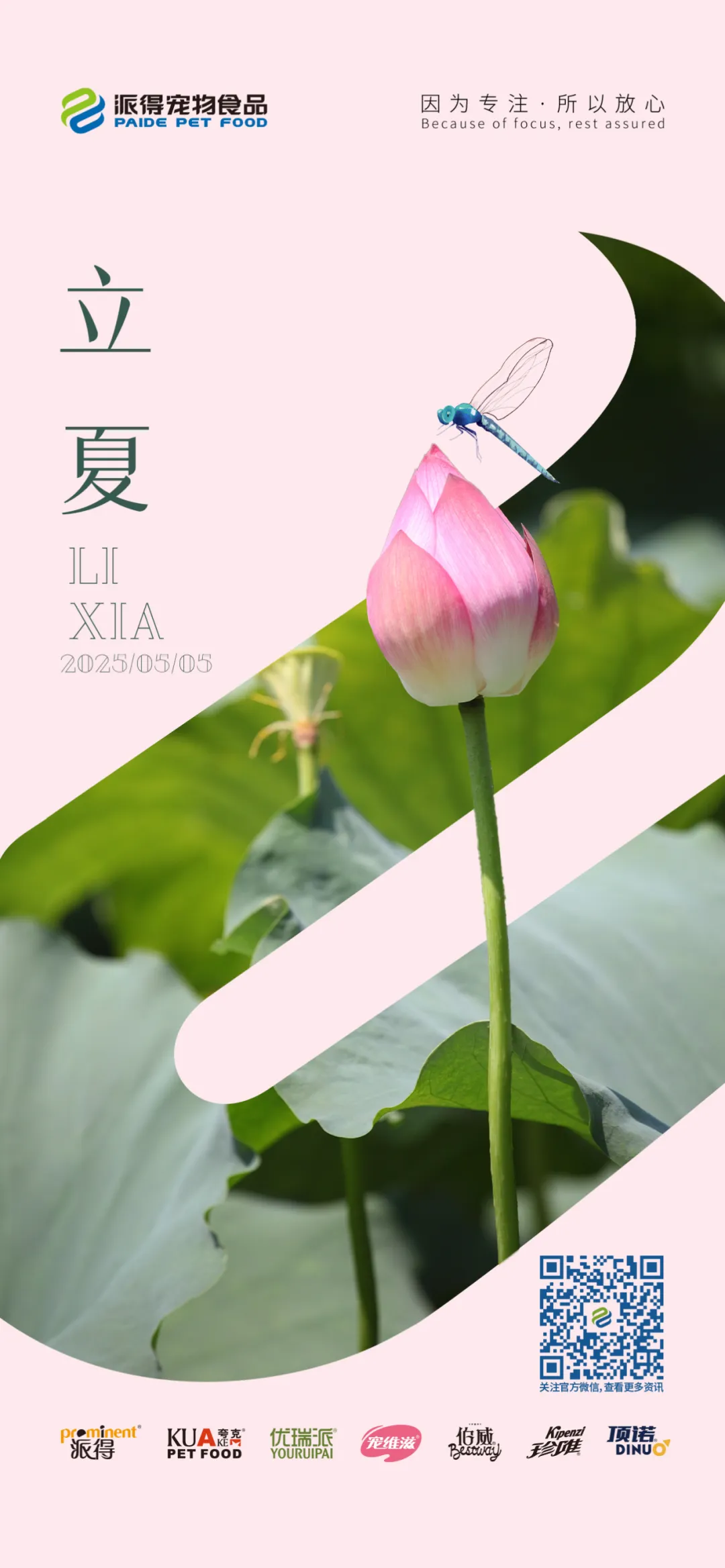 派得宠物